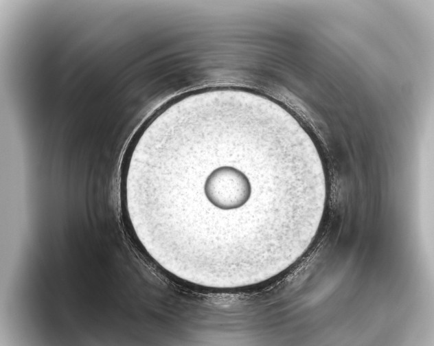 X0000096420836200801311411
