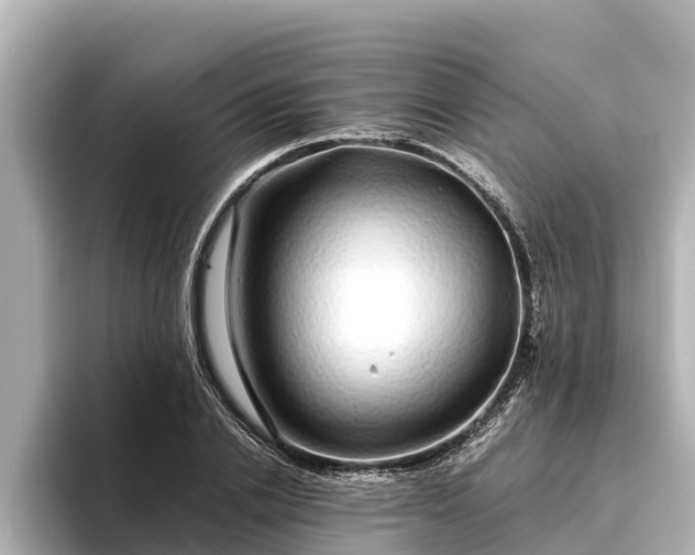 X0000096420838200801311411