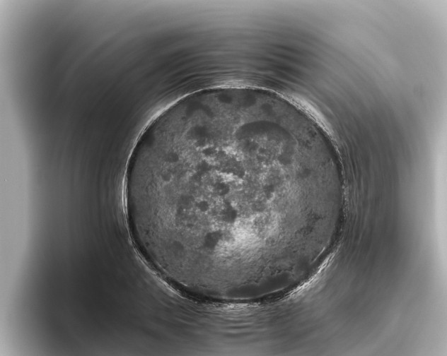 X0000096420839200801311411