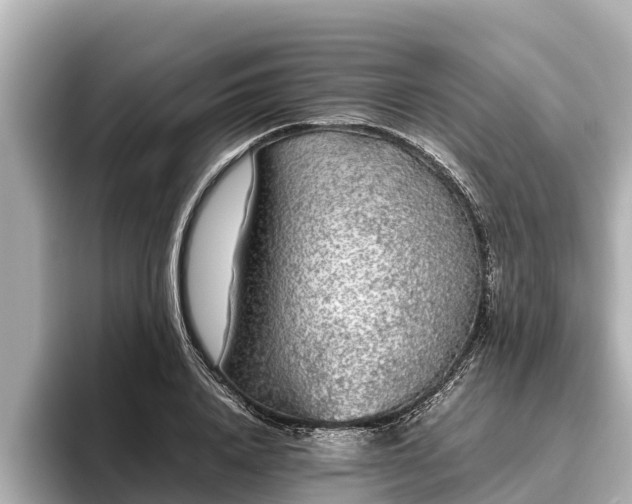 X0000096420840200801311411