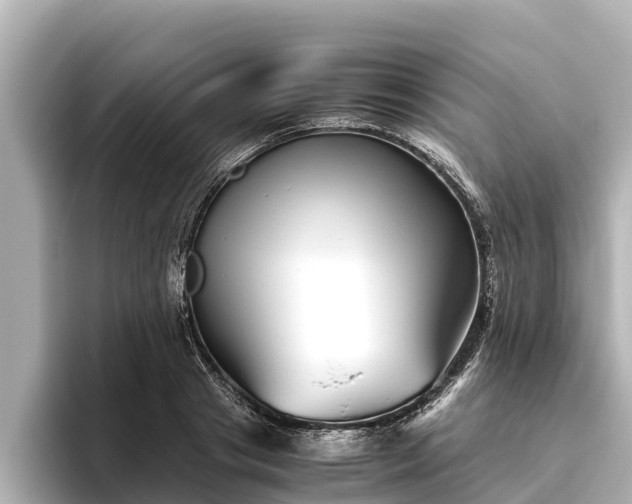 X0000096420841200801311411