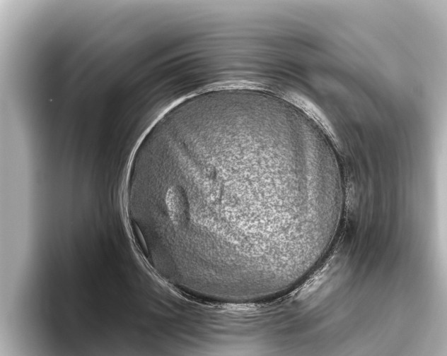 X0000096420844200801311411