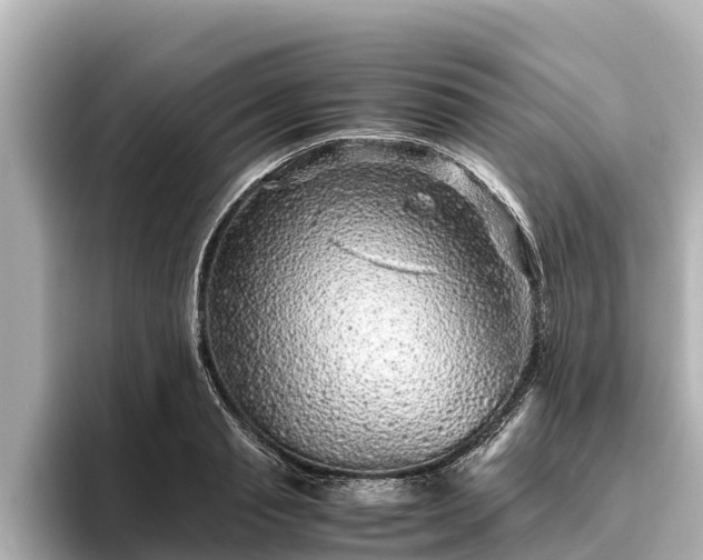 X0000096420845200801311411