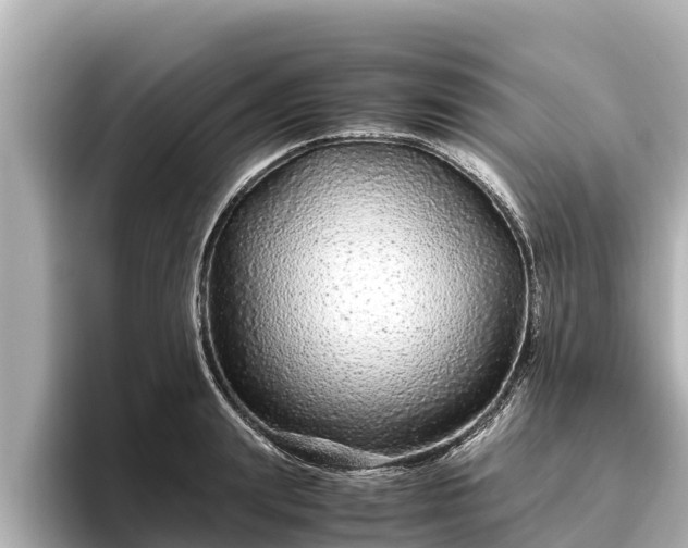 X0000096420847200801311411