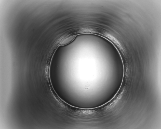 X0000096420849200801311411
