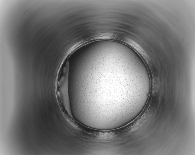 X0000096420850200801311411