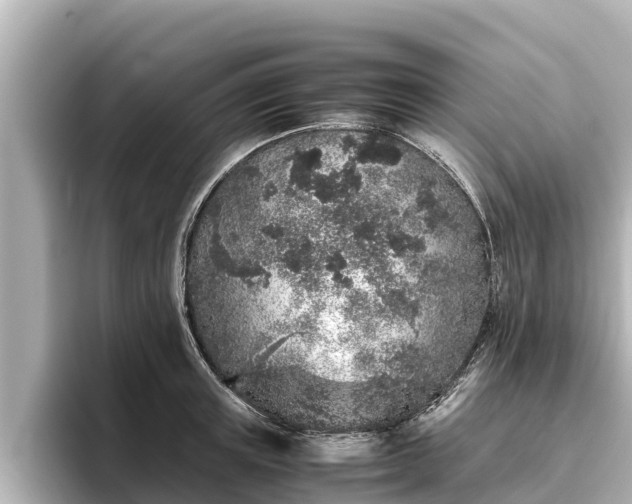 X0000096420851200801311411
