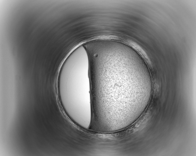 X0000096420852200801311411