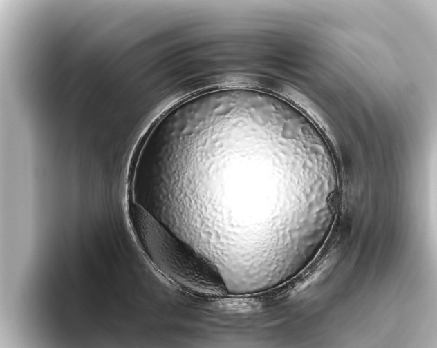 X0000096420853200801311411