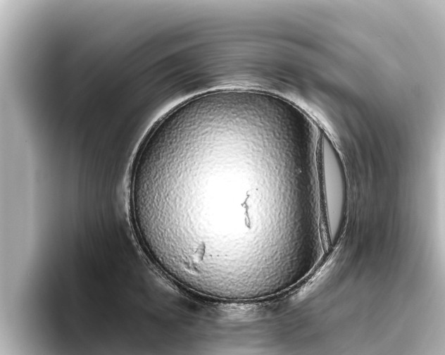 X0000096420854200801311411