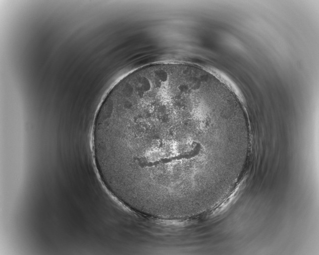 X0000096420855200801311411