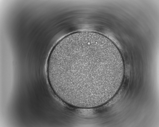 X0000096420856200801311411