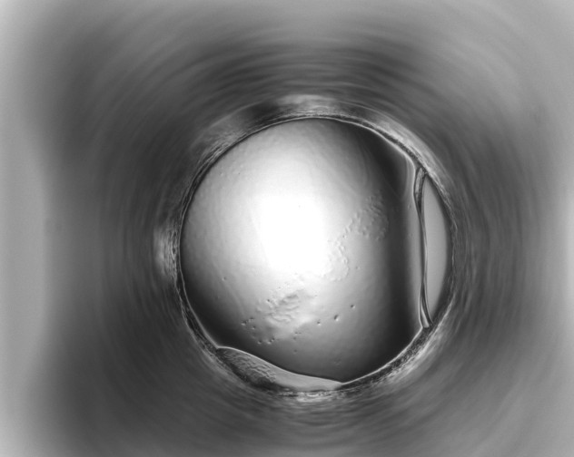 X0000096420857200801311411