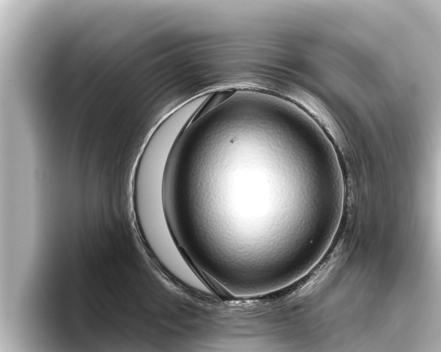 X0000096420858200801311411