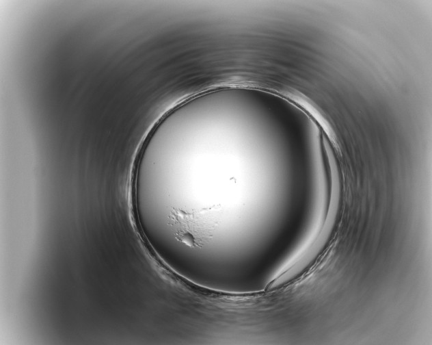 X0000096420861200801311411