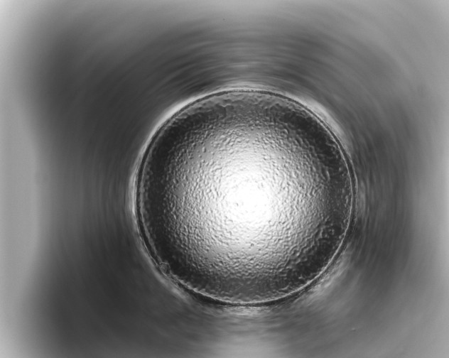 X0000096420862200801311411