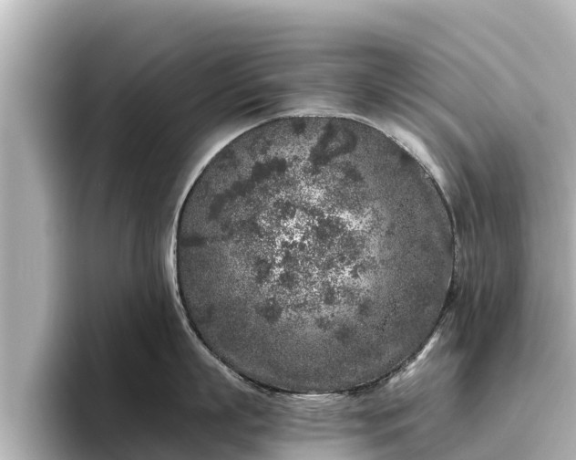 X0000096420863200801311411