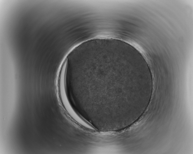 X0000096420864200801311411