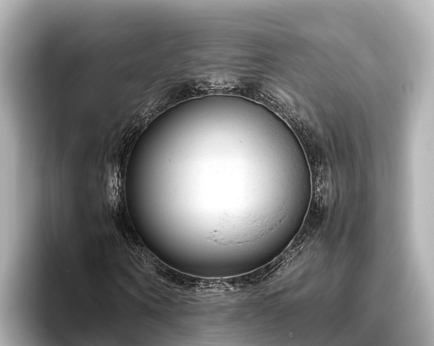 X0000096420866200801311410