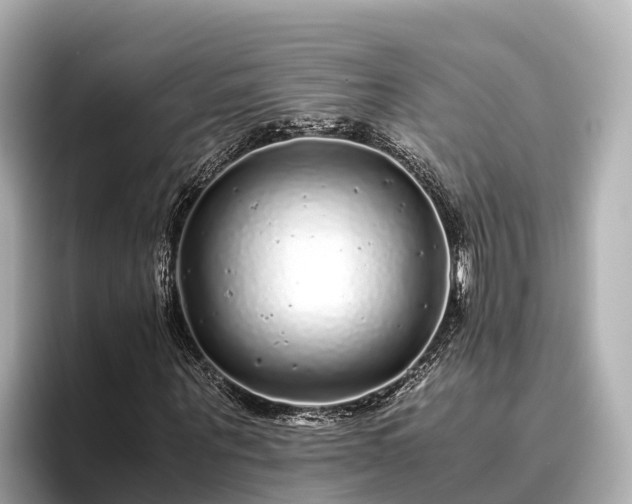 X0000096420867200801311410
