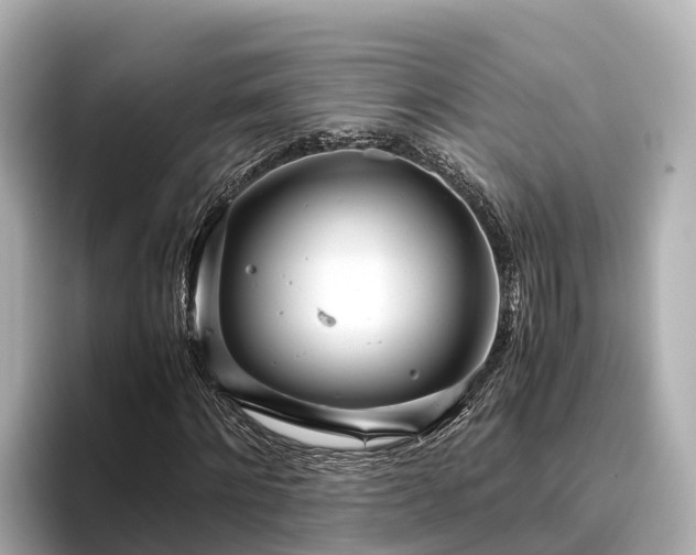 X0000096420868200801311410