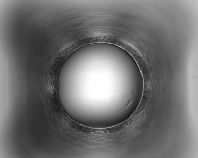 X0000096420869200801311410