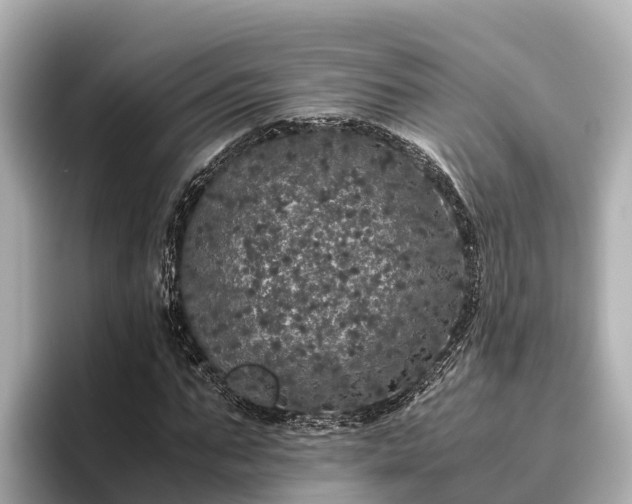 X0000096420871200801311410
