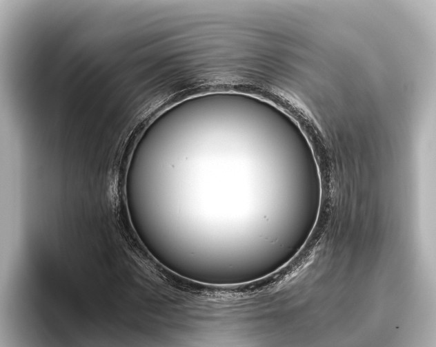 X0000096420873200801311410