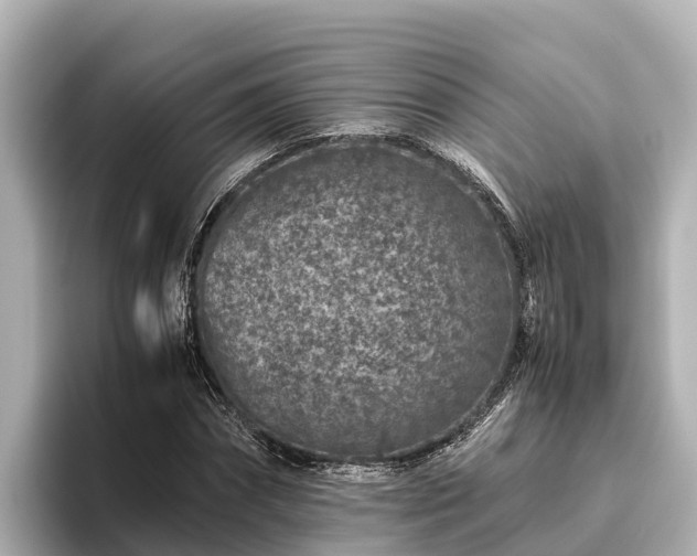X0000096420874200801311410
