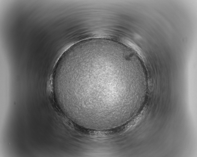 X0000096420875200801311410
