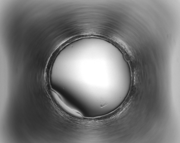 X0000096420876200801311410