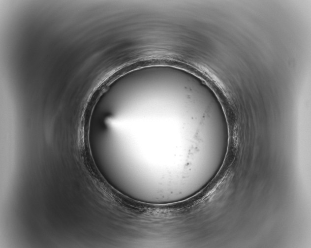 X0000096420877200801311410