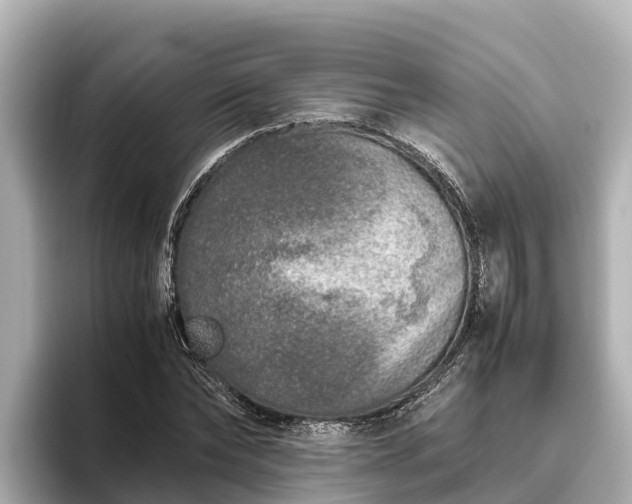 X0000096420878200801311410