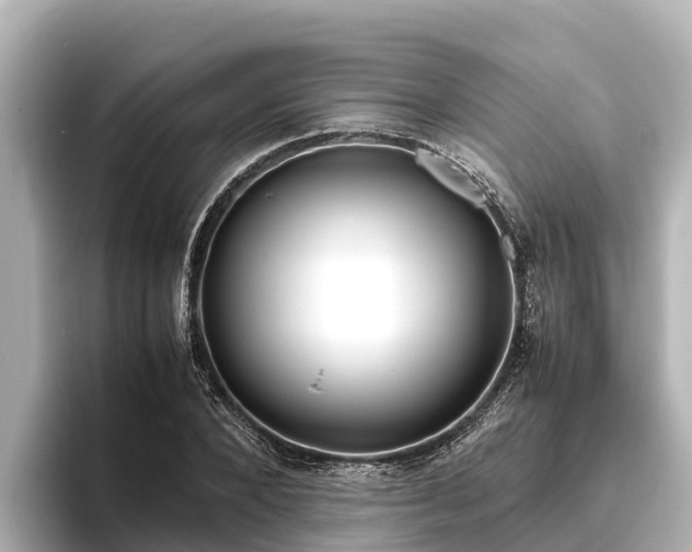 X0000096420880200801311410