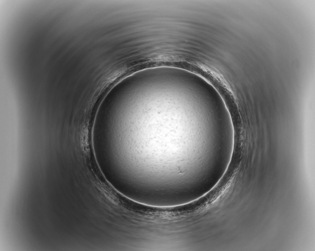 X0000096420881200801311410