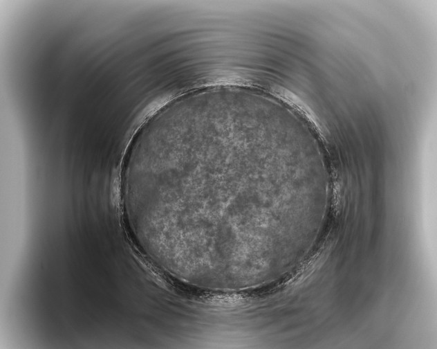 X0000096420882200801311410