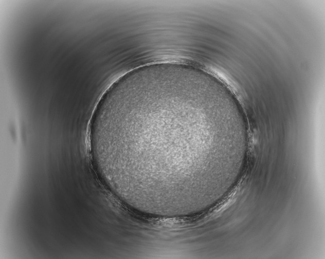 X0000096420883200801311410