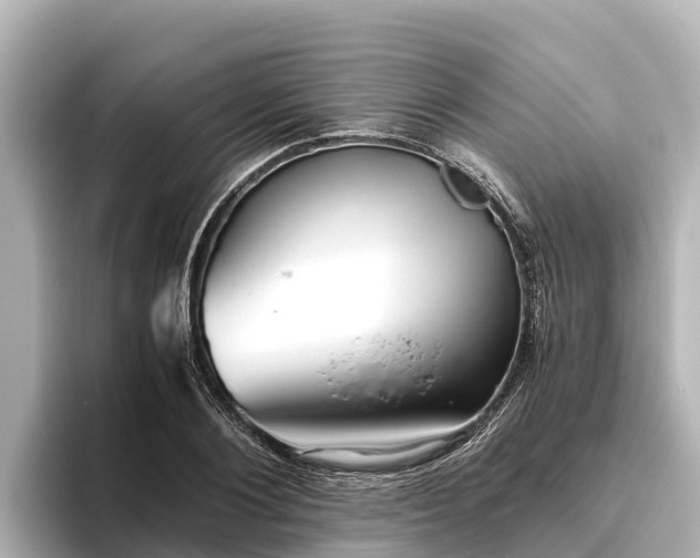 X0000096420884200801311410