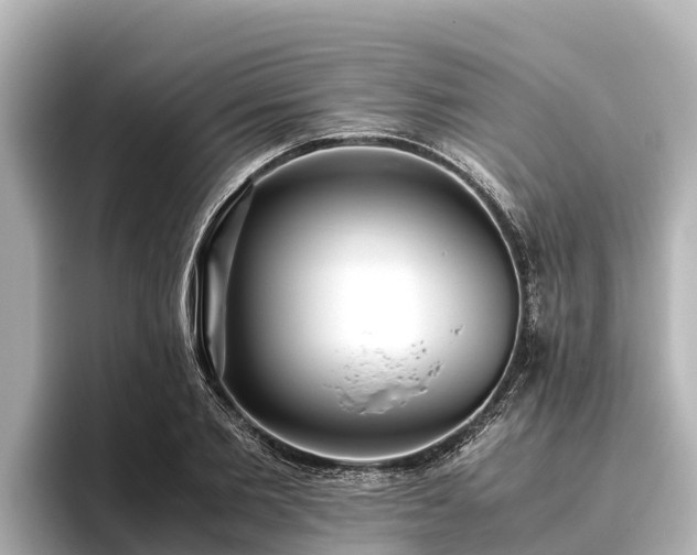 X0000096420885200801311410