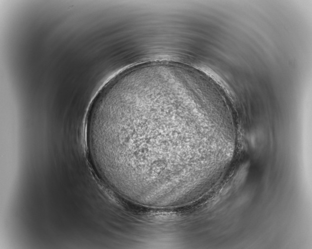 X0000096420886200801311410