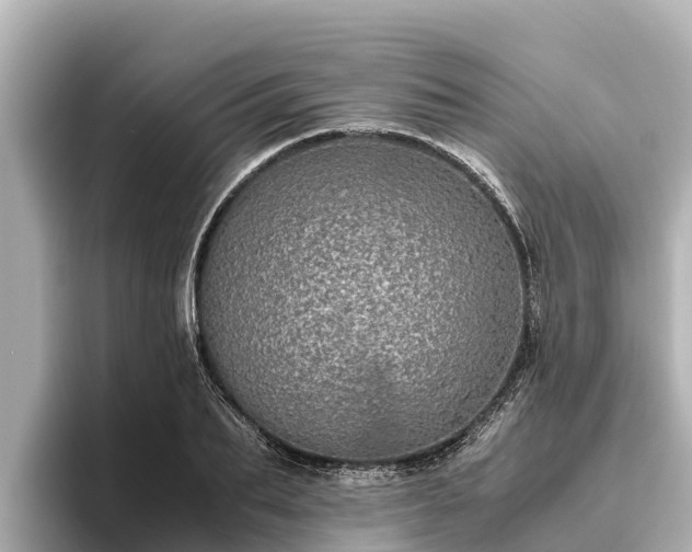 X0000096420887200801311410