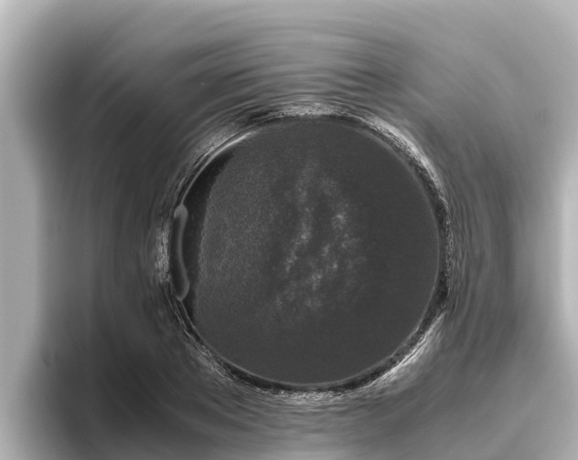 X0000096420889200801311410
