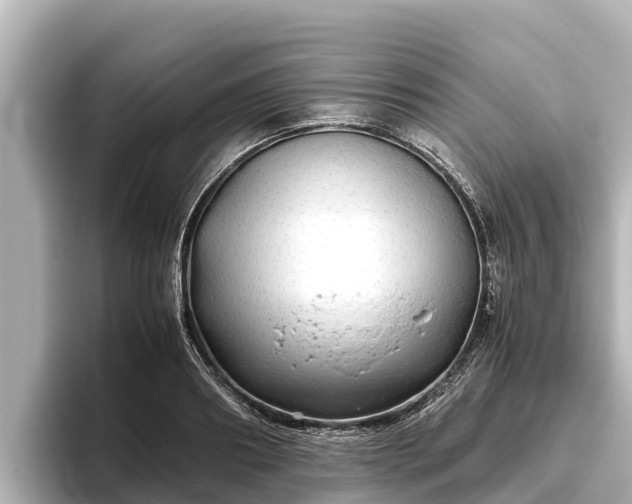 X0000096420890200801311410