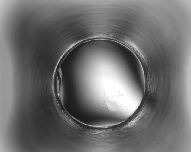 X0000096420892200801311410