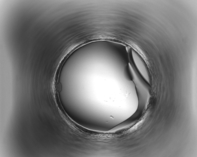 X0000096420893200801311410