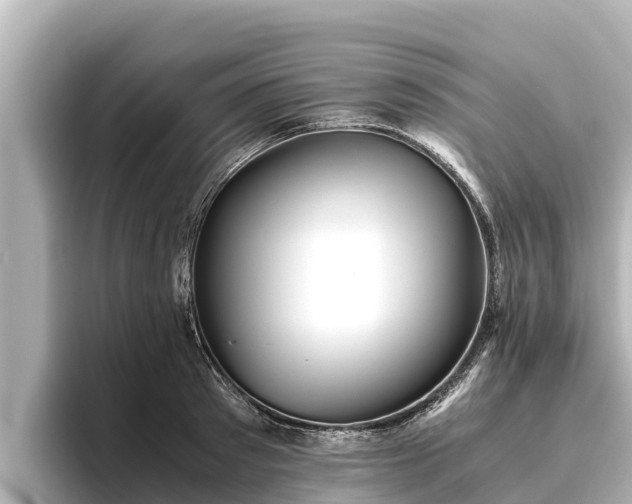 X0000096420897200801311410