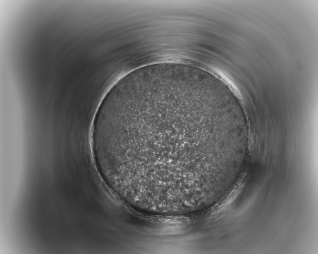 X0000096420899200801311410