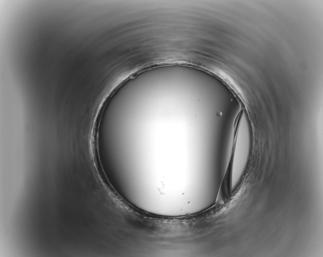 X0000096420901200801311410
