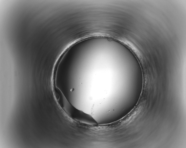 X0000096420902200801311410