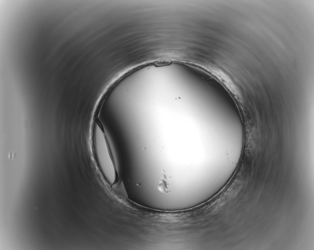 X0000096420904200801311410